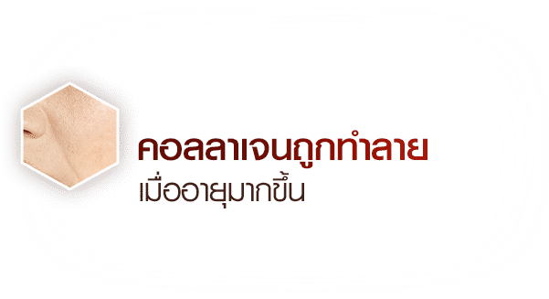 คอลลาเจนถูกทำลาย เมื่ออายุมากขึ้น