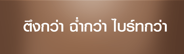 MN31117 NEW 04