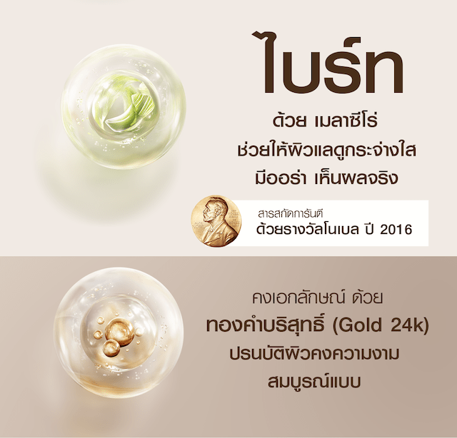 MN31117 NEW 06