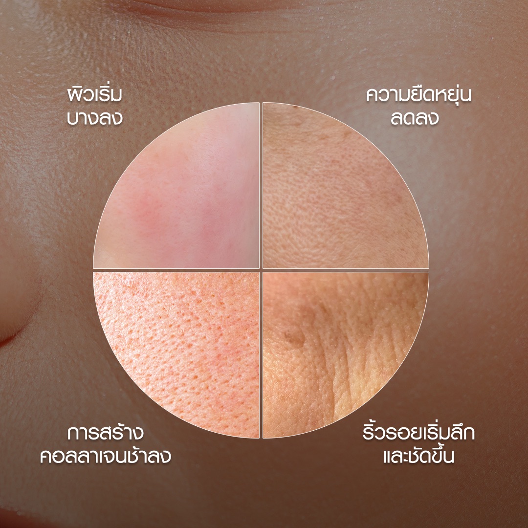 จุดเด่น Minus20 ครีมบำรุงผิว